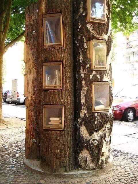 Diverliteraria's tweet photo. Biblioteca en un árbol en Berlin, Alemania... 📖🌳 https://t.co/Z4nlZYBu9r