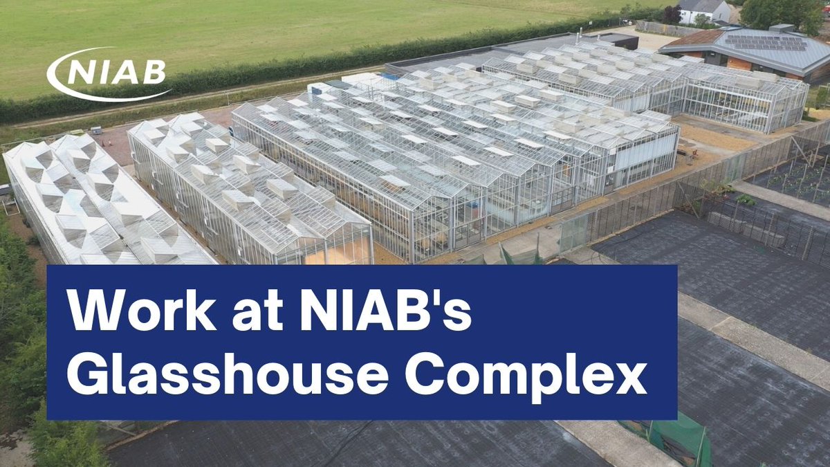 NIAB on Twitter "📹See our stateoftheart glasshouses in action! This