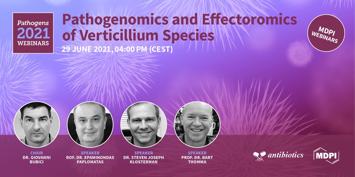 sciforum's tweet image. 🎉Glad to present our 2nd #Pathogens #webinar on #Pathogenomics and #Effectoromics of #Verticillium Species. Join us to know more on this #fungus&apos; #biology and #pathogenesis!

👨🏻‍🎓Chair: Dr. Giovanni Bubici
📅When? #June29 2021 4:00pm CEST
👉🏻Free register in pathogens-2.sciforum.net/#registration