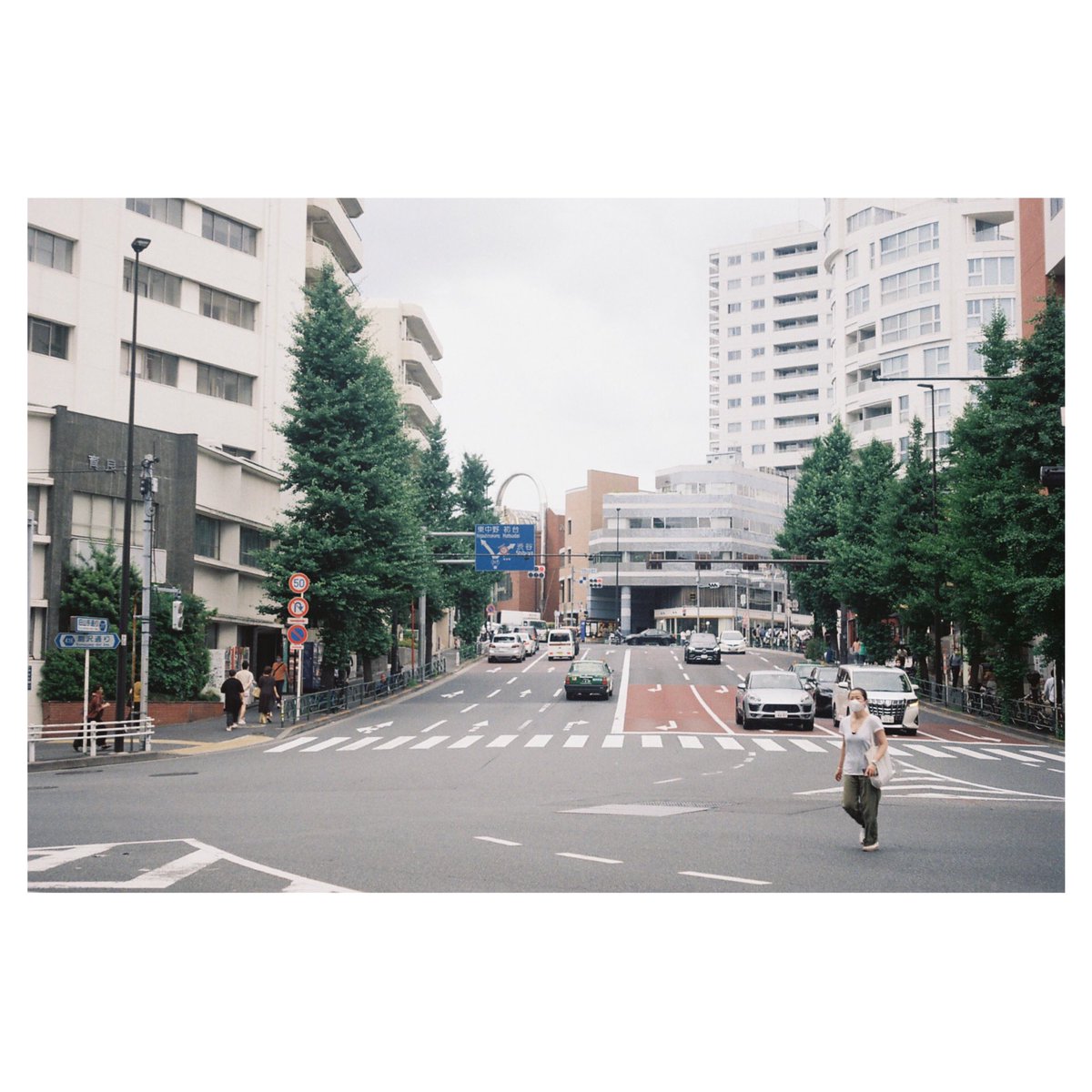 Rinco Koyama / 写真家兼占い師 tweet media