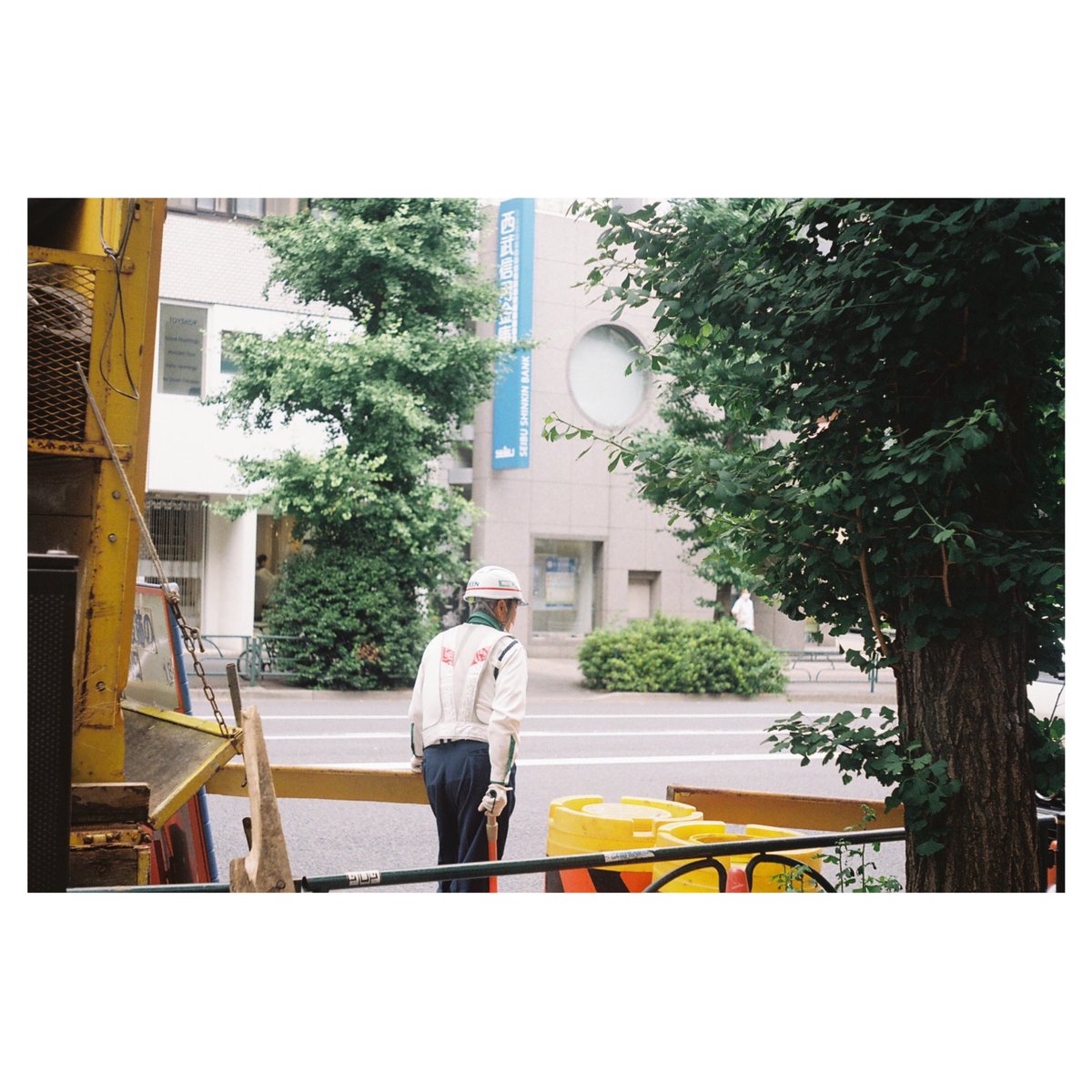 Rinco Koyama / 写真家兼占い師 tweet media