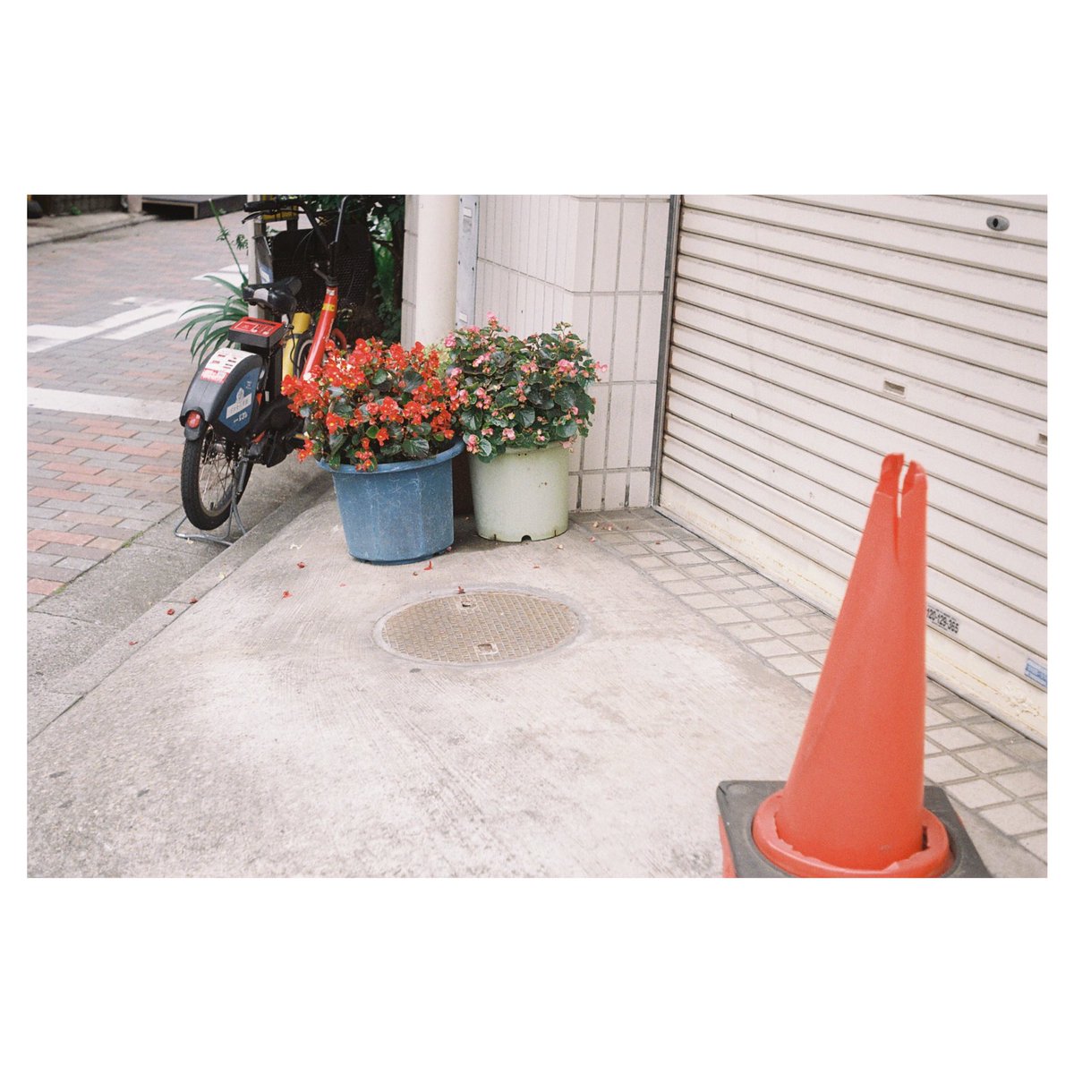 Rinco Koyama / 写真家兼占い師 tweet media