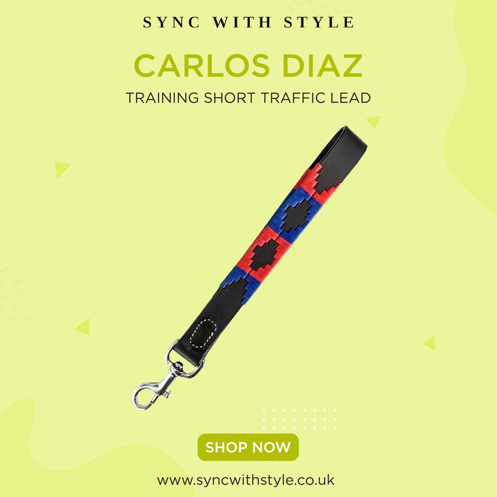 Sync With Style (@SyncWithStyle) / Posts / X
