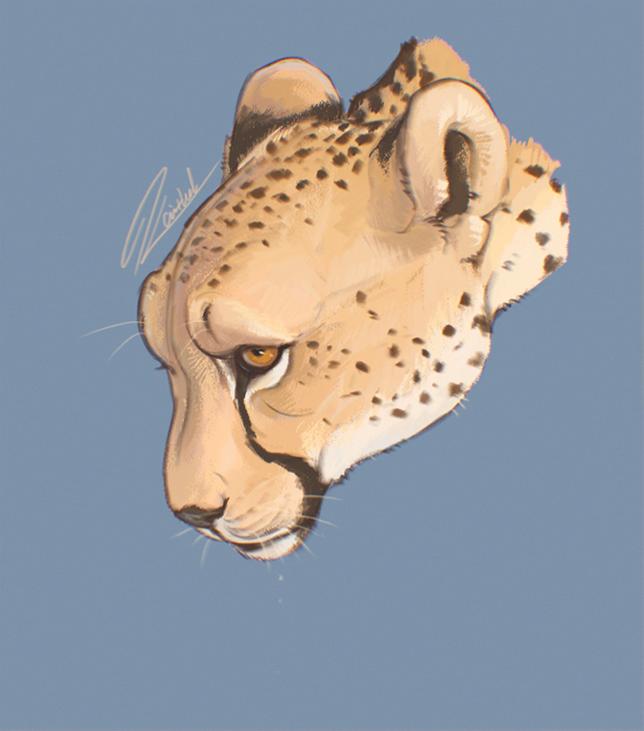 Kaithel7556's tweet photo. Another practice drawing. 
The beauty Cheetah.
#Practice #practicedrawing #animaldrawings #animal #Cheetah #wildanimals #wildlife #DigitalArtist #digitalart #quicksketch #quickcoloring https://t.co/Hdqj9SBRAL