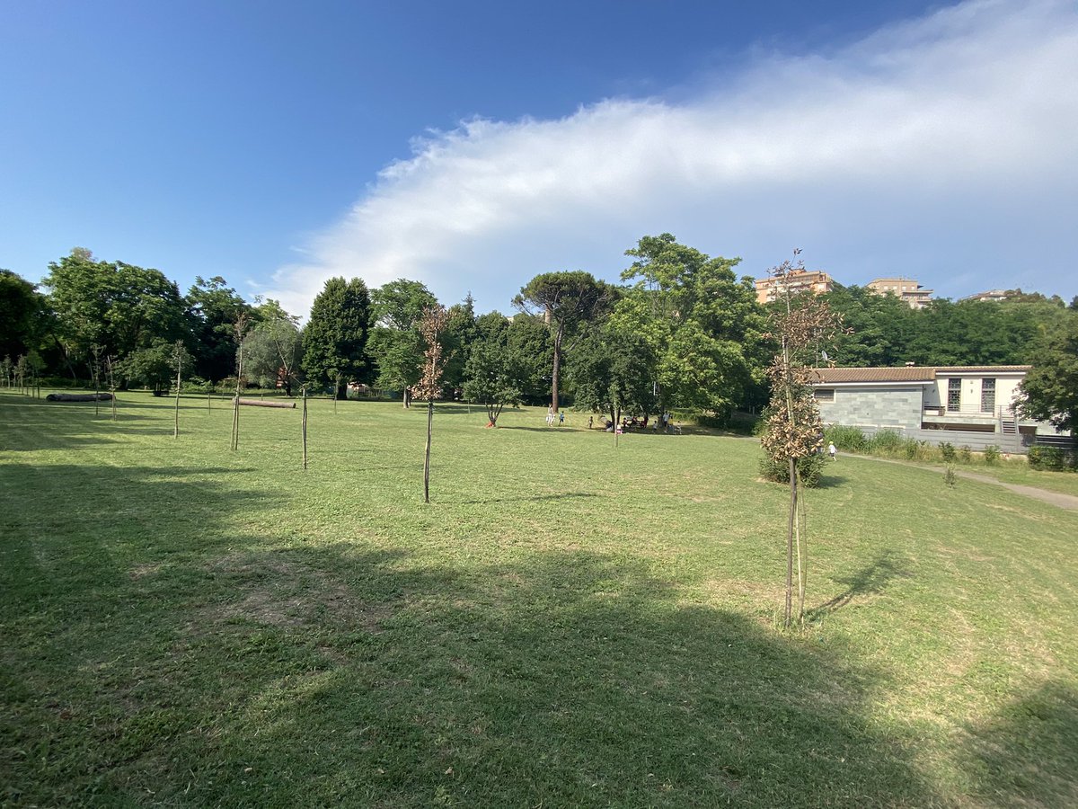 EnteRomaNatura's tweet photo. Giornata di presentazione della piantumazione realizzata nel #ParcodelPineto #RomaNatura progetto coordinato dal Comitato Parchi per Kyoto nato dalla Campagna #InspiringWorld2019 della #LaudesFoundation @robertalombardi @Mau_Gubbiotti @FranFerrante https://t.co/wYIndjxhNY https://t.co/3T0c0LTvdi