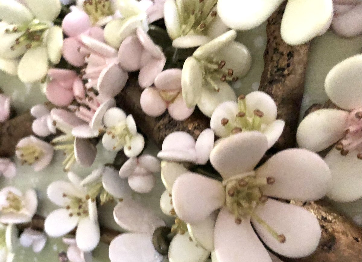 VFrance_Artist's tweet photo. A few little sneaky peek snippets from my brand new collection - coming together beautifully! 🤍 👌 Happy Friday folks! 🤍 #mixedmedia #sculpture #beautiful #delicate #cherryblossom #originalartwork #uniquestyle  #new #collection #coming #soon #lovemyjob🤍 https://t.co/CzrcEKqvOn
