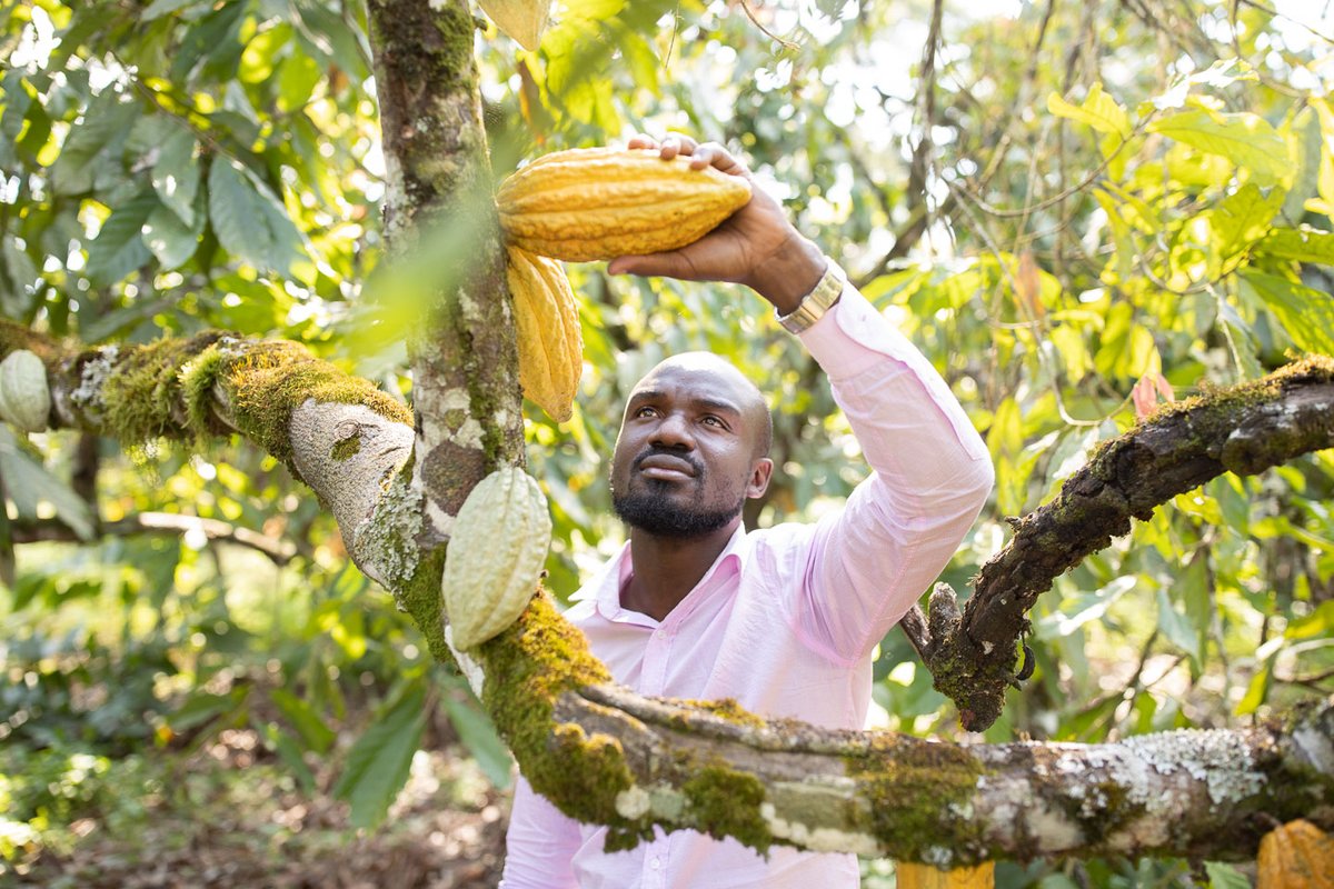SharedInterest's tweet image. Joining a co-op is a proactive way that we can help to build back better. This #CoopsFortnight we are celebrating the benefits &amp;amp; diversity of co-op membership. 

At Shared Interest we work with co-ops worldwide providing them with the finance to build &amp;amp; grow. #JoinACoop