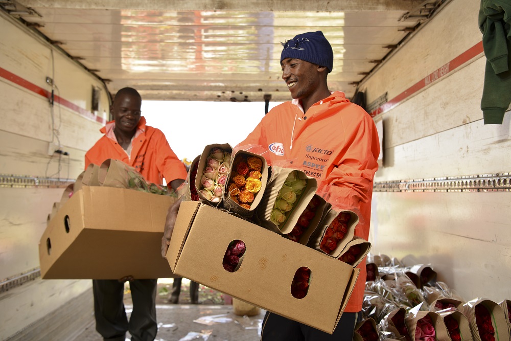 SharedInterest's tweet image. Joining a co-op is a proactive way that we can help to build back better. This #CoopsFortnight we are celebrating the benefits &amp;amp; diversity of co-op membership. 

At Shared Interest we work with co-ops worldwide providing them with the finance to build &amp;amp; grow. #JoinACoop