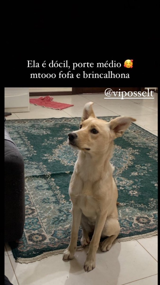 sharkboyalex's tweet photo. Pessoal aconteceu em Caxias do Sul/RS quem puder compartilhar 🙏🏻 https://t.co/F6Y1ScAL4a