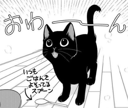 「60手前でねこを飼う」第7話で描きました。
子猫のころのクウの例のごはん催促。
おわーんくろねこ。 