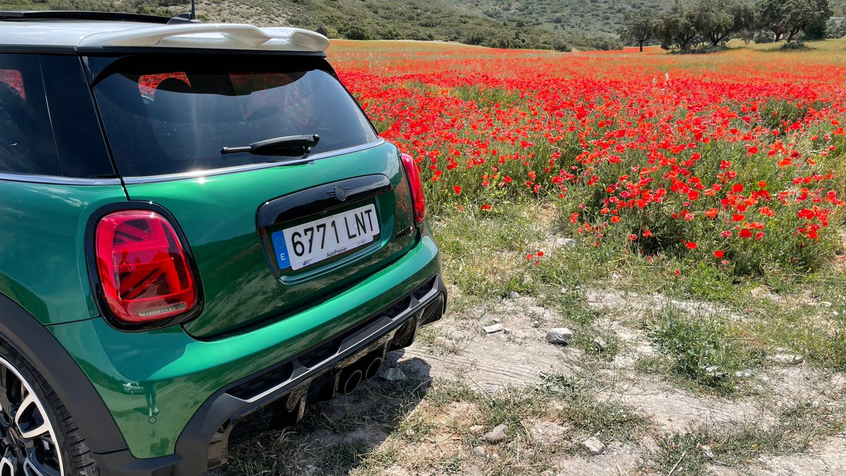 MINIEspana's tweet image. Las amapolas a juego con los Union Jack del MINI de @ivanzafra96 nos tienen así ❤️‍🔥.  Este #OrgulloDeMINI está on fire.