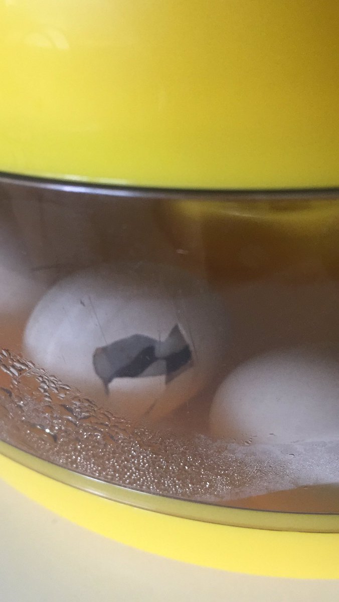 Naissances en cours 😊