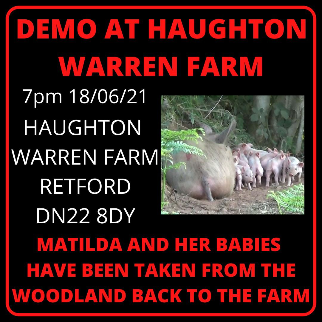 CALL TO ACTION 📢

Call <a href="/marksandspencer/">M&S</a> and demand that Matilda and her babies are released from their farm and not murdered!

Call this number, they've set up a 'Matilda team' 0333 0148555

GO GO GO!

And a demo tonight, details below 👇

#FreeTheOllerton11
