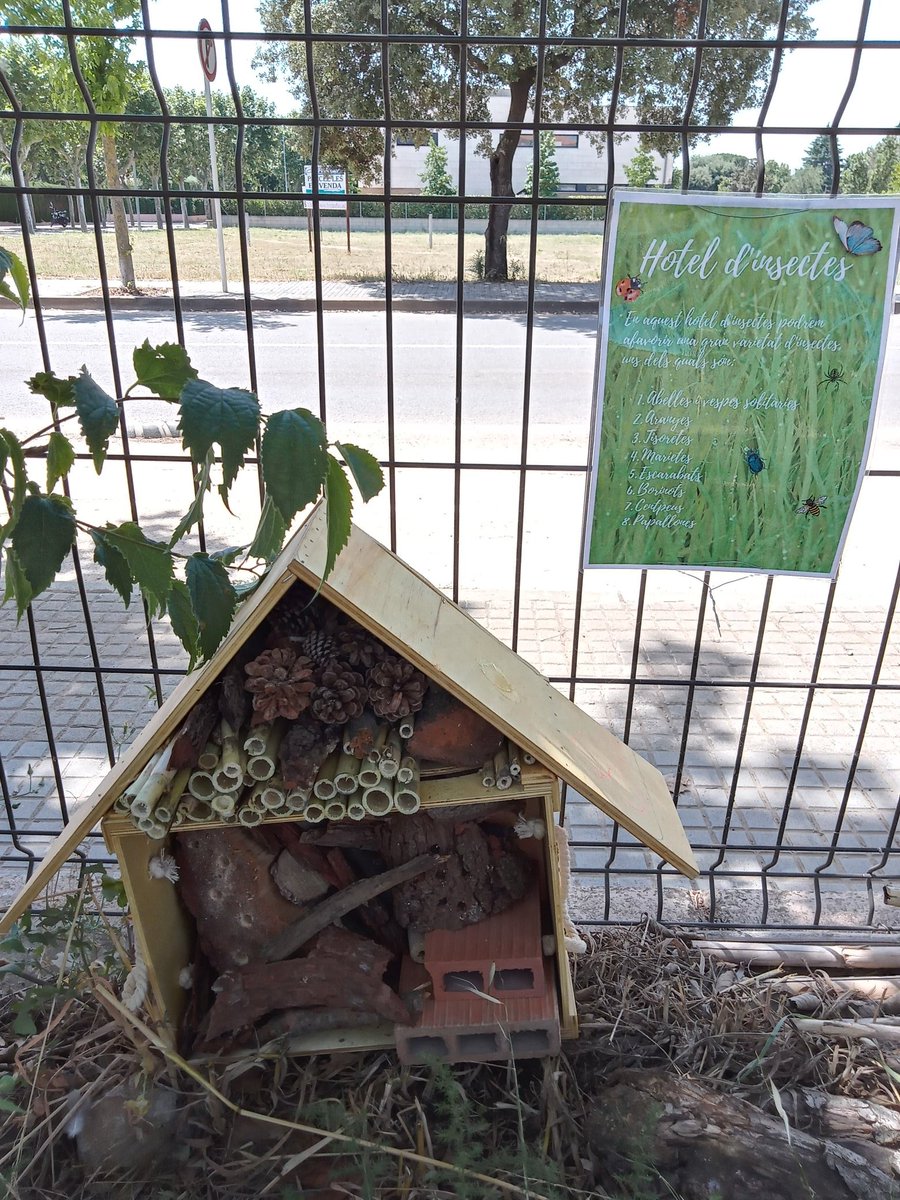 Ja hem instal·lat l'hotel d'insectes al costat de l'hort. Resultat del projecte de l'alumna Irene M. de 2nESO B. @INSRaspall #beneficisdelsinsectes #ecologia
