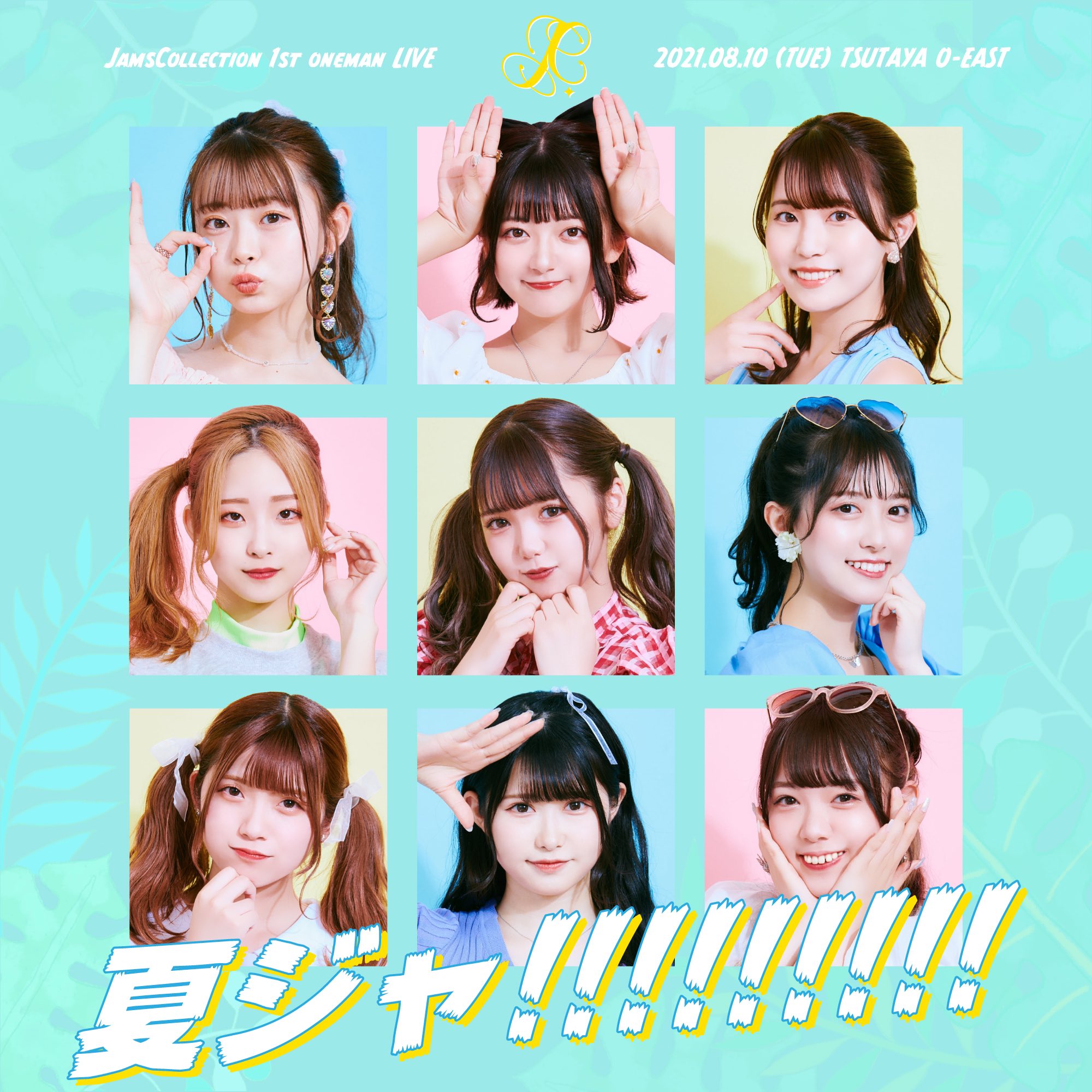 完璧わいふによる Jams ワンマンライブDVD Collection その他