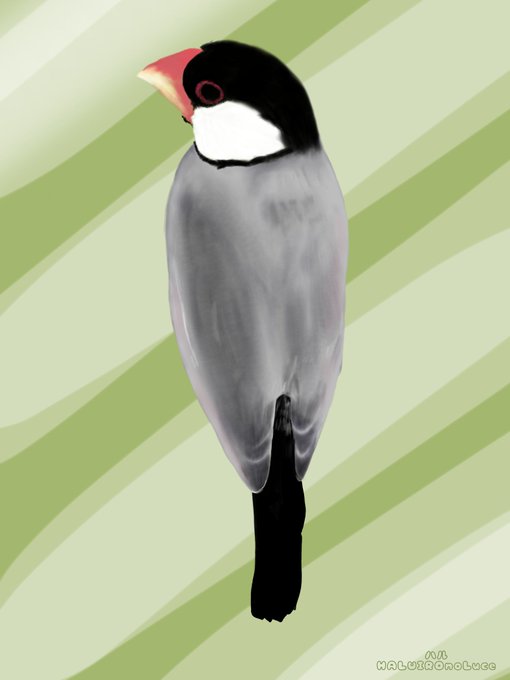お気に入りののtwitterイラスト検索結果 お気に入りののtwitterイラスト検索結果