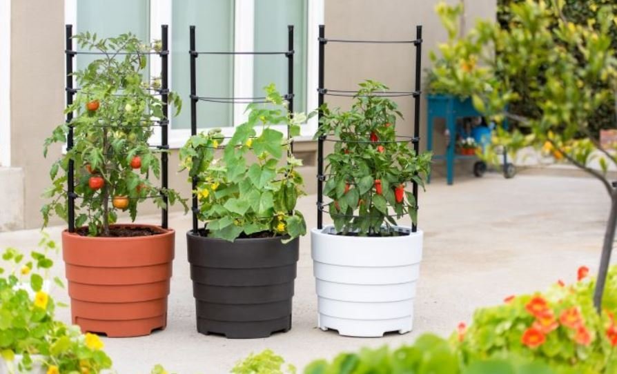 Creative_Gardn's tweet photo. If You want to be Happy For Lifetime , Be a Gardener 💮
.
.
.
#Garden #GardeningTwitter #Flowers #happiness https://t.co/IVJL0j0ciq