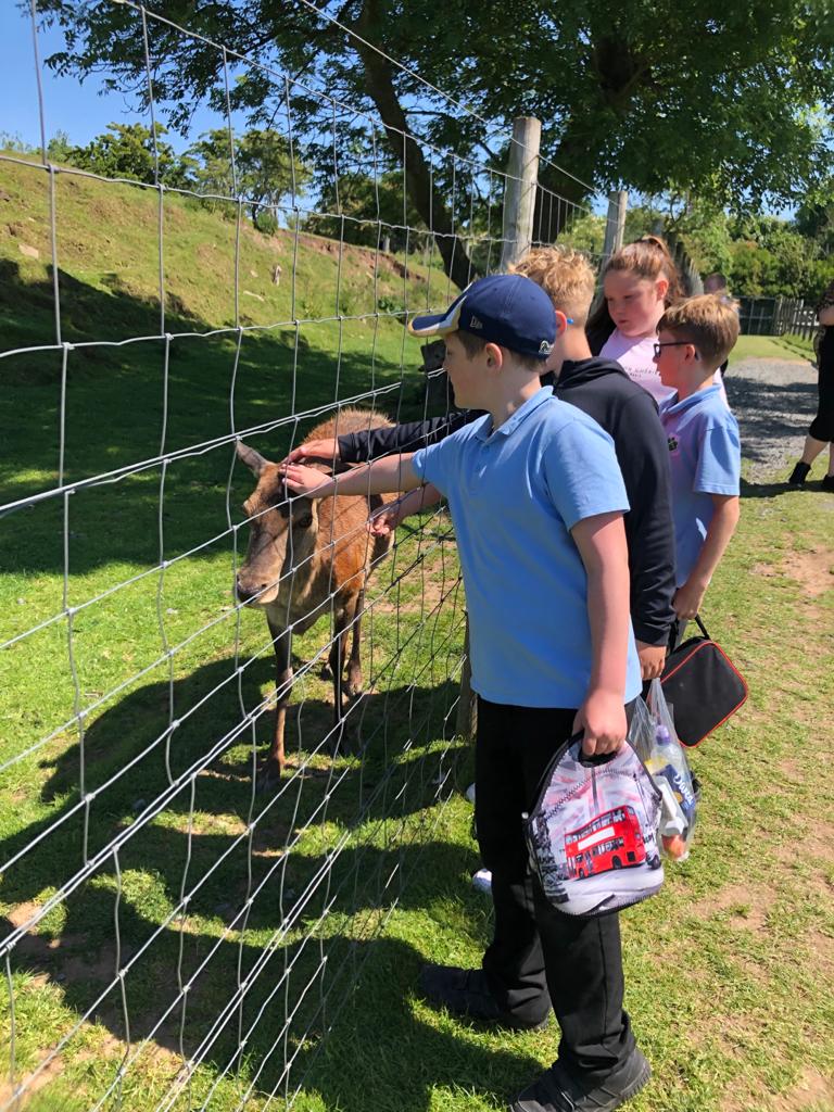 crosshill_ps's tweet photo. Farm Park Fun. #CrosshillClass2 #HeadsofAyrFarmPark https://t.co/Cdo5E6rtzh