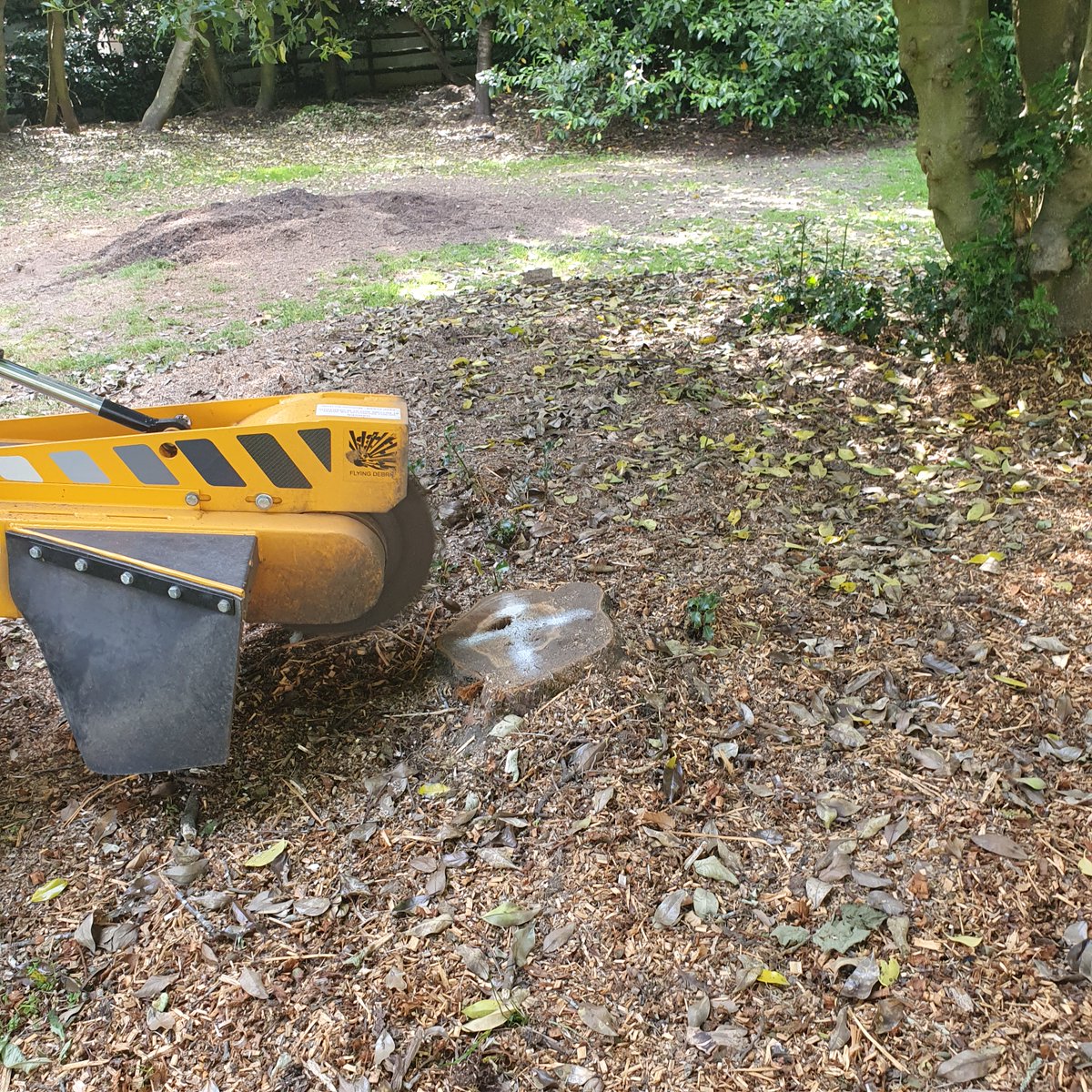 TreeGrinding's tweet photo. Tree stump grinding near Ingatestone, Chelmsford Essex. Here I was grinding various tree stumps including a large horse chestnut tree stump.
#Treestumpgrinding #treestumpremovals #Ingatestone #Chelmsford #Essex https://t.co/1MHnKEl4ef