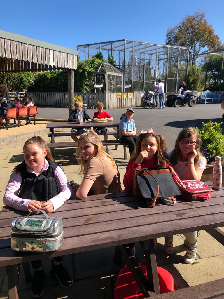 crosshill_ps's tweet photo. Farm Park Fun. #CrosshillClass2 #HeadsofAyrFarmPark https://t.co/mmgUOlYw1R