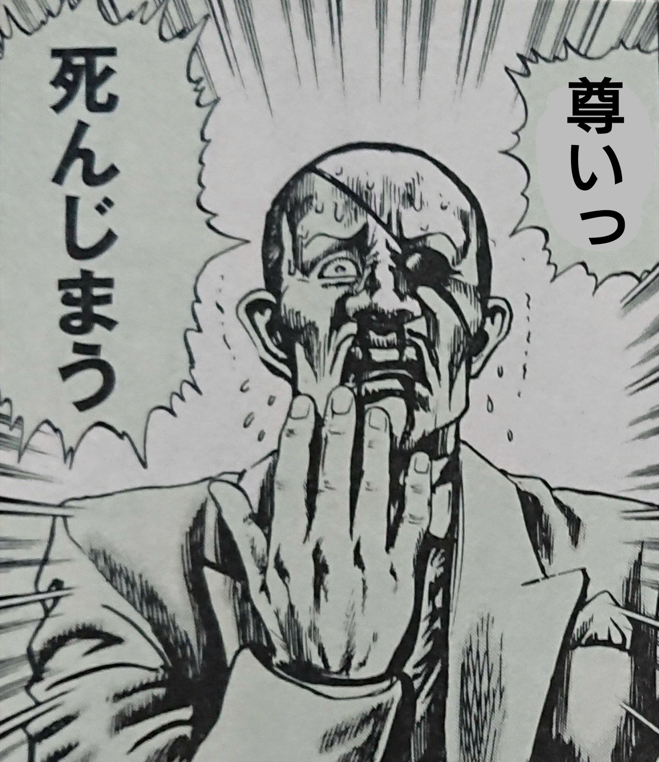 智之丞 Twitter પર ふと思い付きで 尊いイラストを見つけた時に使えるコラ画像を作ってしまった 因みに画像の元ネタは 蒼天の拳 の2巻です T Co Voigl5ovlg Twitter