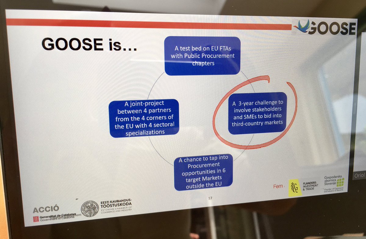 Ana Coelho🎗🕊🇪🇺 tweet media