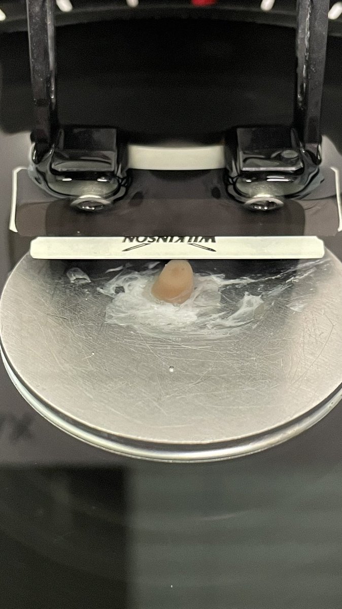 Cutting some mouse #kidney 25um sections for staining and #confocal #imaging