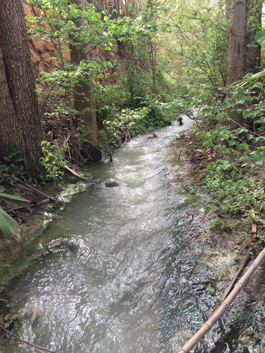 En un lugar de la Huerta tweet media