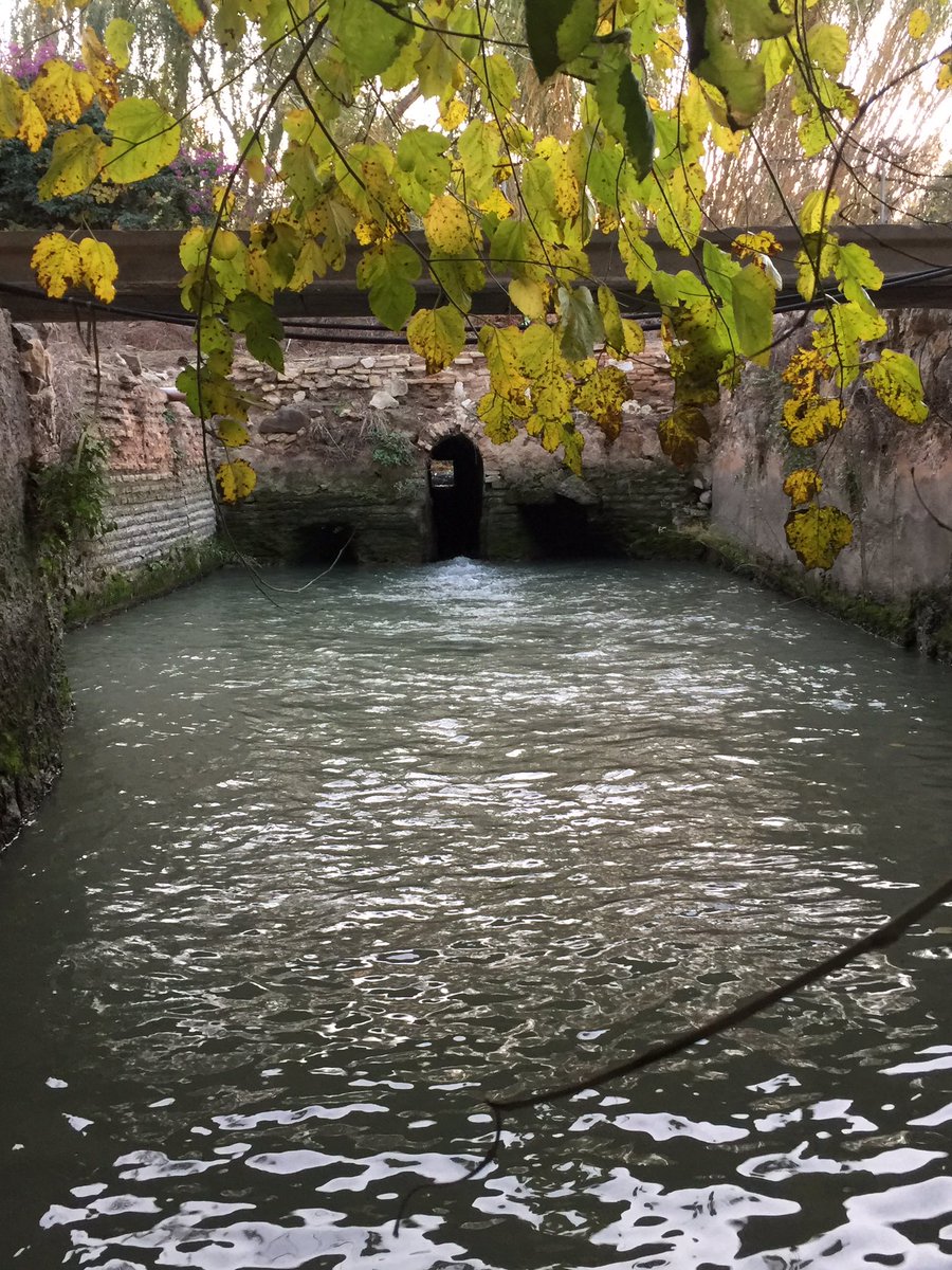 En un lugar de la Huerta tweet media