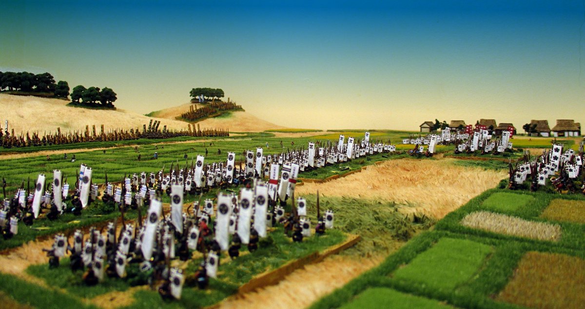 Gareth Beamish tweet media