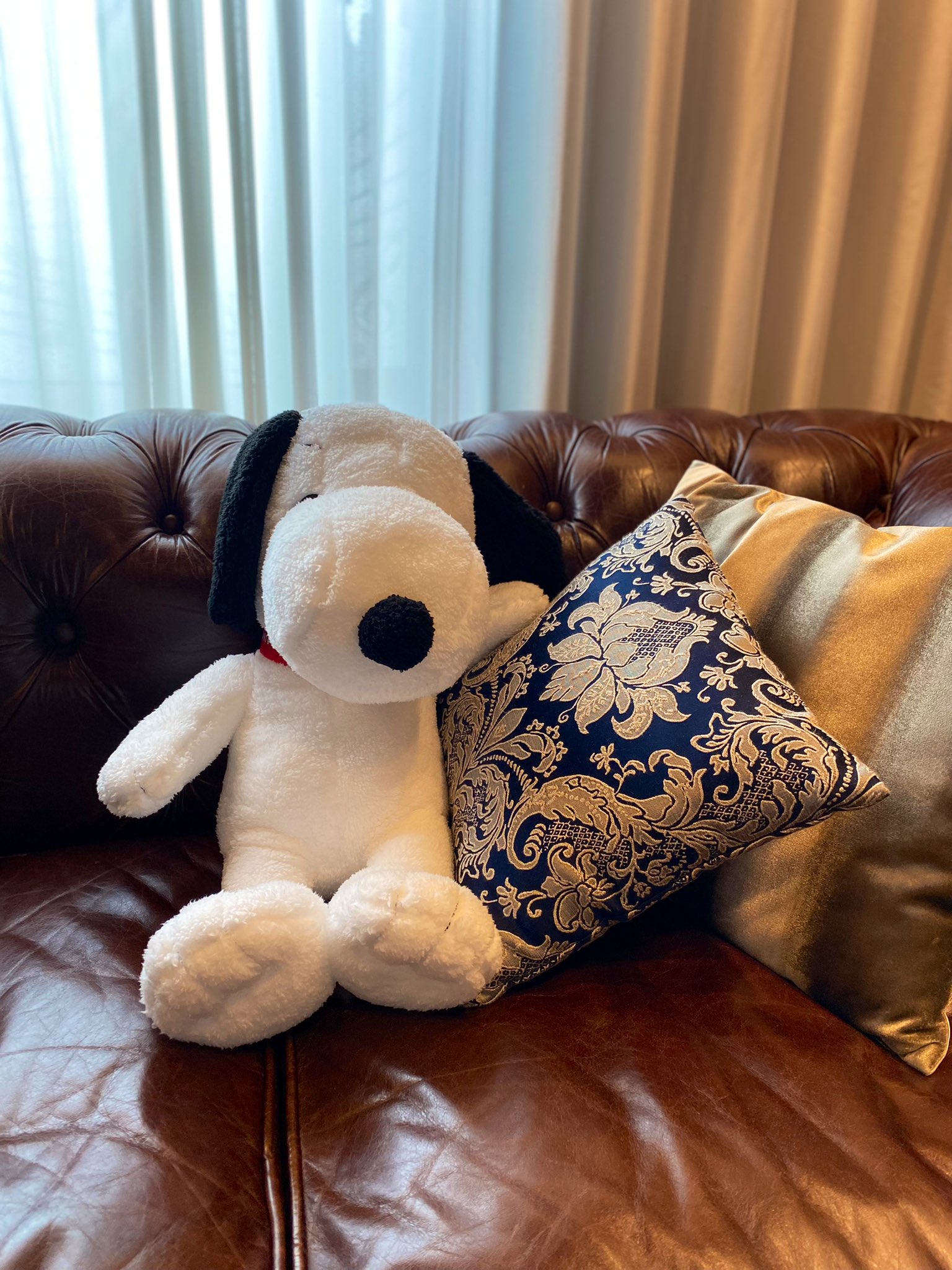 かずんぬ いつか泊まってみたい部屋の一つであるリーベルホテルのピーナッツジャズルームに先週一泊しました スヌーピー たちが可愛く演奏してたり ジャズが流れててバーみたいな雰囲気ですごくリラックスできました Usjファン リーベルホテル