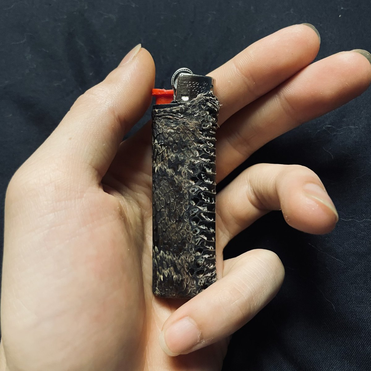 虚空坊主 昨日は家に出たマムシを捌いて丸焼きにして食べるなどをしました マムシのパワーすごくて 心臓もほぼ生で食べさせてもらったんやけどその日ほとんど寝てなかったのに目ギラギラでめっちゃ起きてた いい経験させてもらった 皮はライターケースに