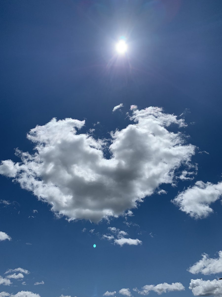 Lbethfarrell's tweet photo. Rainbows for #Pride!!!
We love how our school stands for not only awareness but celebration of every child, regardless of gender, sexuality, race, religion, family structure or socioeconomic status.
We see it and feel it in everything they do @StMattsTigers @charrumbolt @NLESDCA https://t.co/EURq5q44Lm