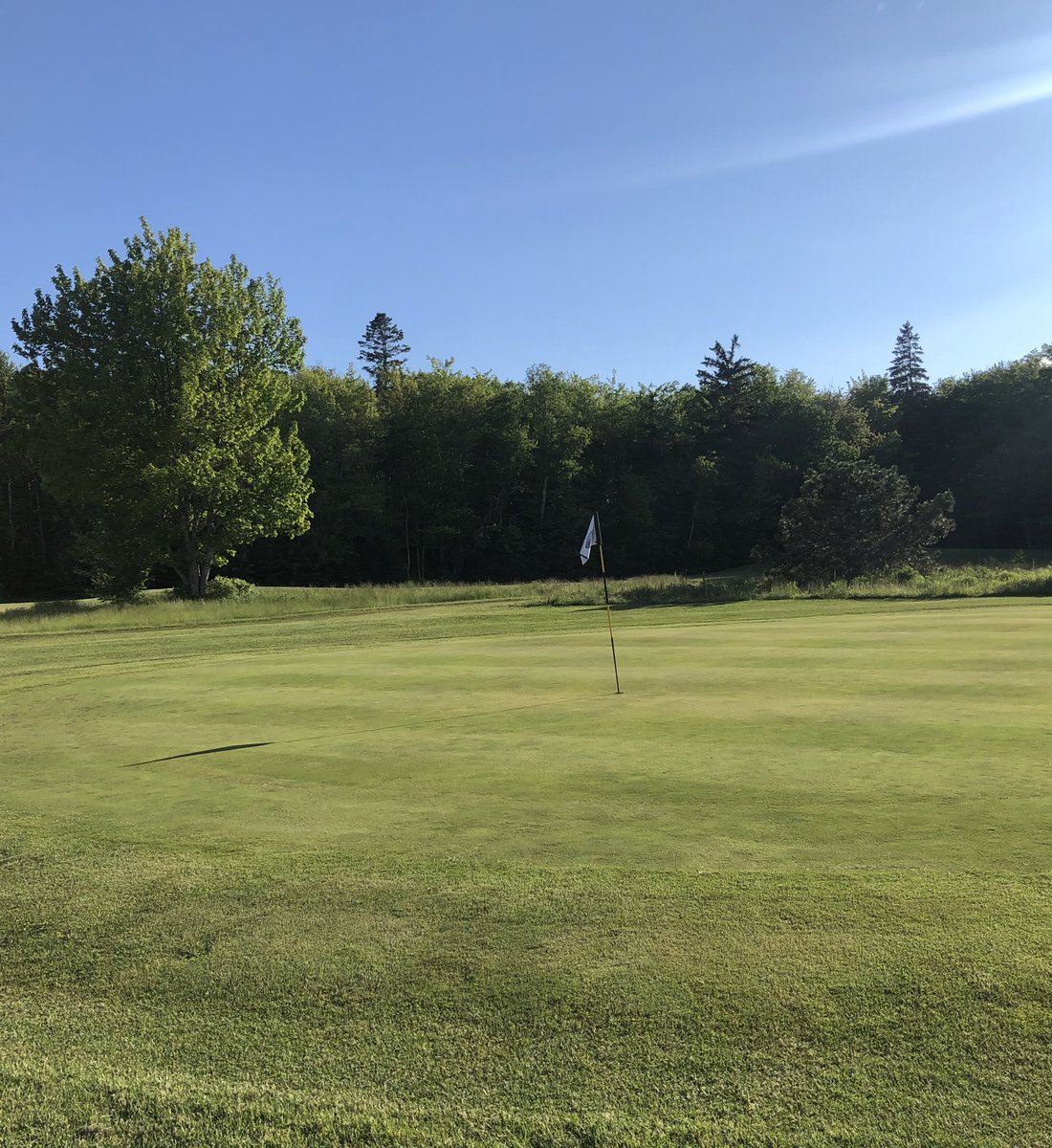 clyderivergolf's tweet photo. Terrific weather forecast in the books for today and tomorrow. How about getting out for a round and enjoying the sun?

Summer rates now in effect:

18 hole green fee - $35
9 hole green fee - $25

After 11AM:

18 hole - $25
9 hole - $20

18 holes w/ cart for $30 + tax after 3PM! https://t.co/Ls6UkFTjRE