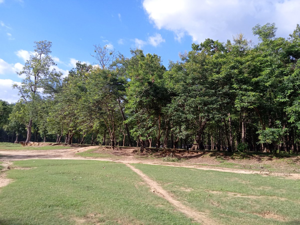bhanuaryal49's tweet photo. If you are free, spend some time with tree.💚
#Greenpeace
#greennepal
#ronbupdates
#NaturePhotographyDay
#nature
#NaturalBeauty
#Nepal
@RONBupdates https://t.co/3o5tCR979e