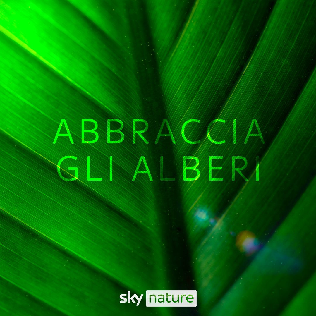digitalsat_it's tweet image. E scoprirete che basta poco per essere felici. #SkyNature