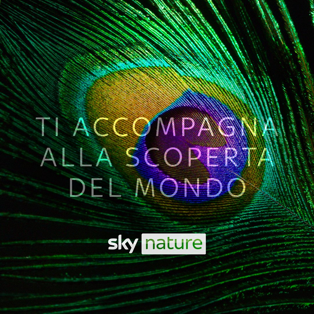 digitalsat_it's tweet image. Sky Nature si accende dal 1 luglio solo per voi. #SkyNature