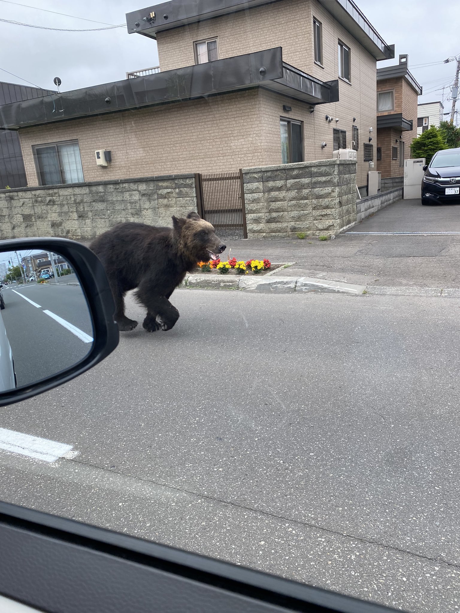 北海道露出画像 