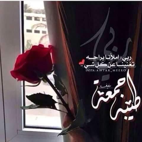 Mahmoud67283240's tweet photo. #امين_يارب_العالمين ❣️ https://t.co/W1GHDkGEWJ