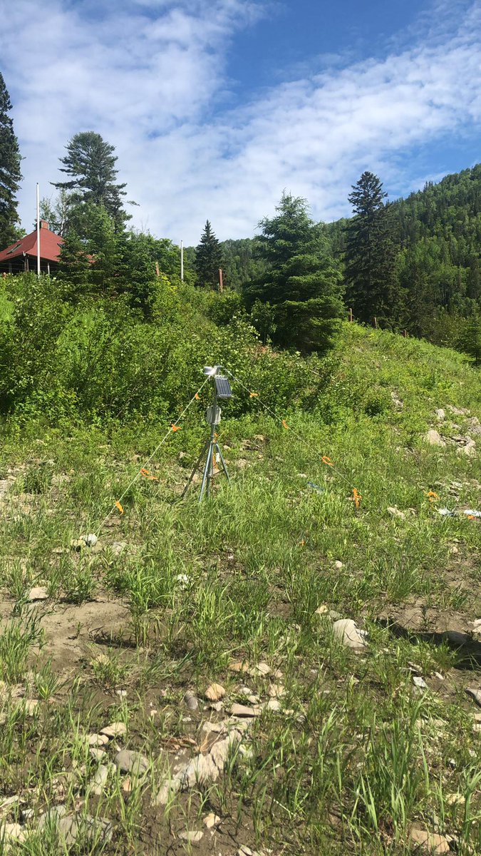 theGMRC's tweet photo. GMRC installed real-time monitoring stations on the Restigouche and Matapedia rivers. The information is shared on our website https://t.co/NBQfozMSB9. Temperature data is collected from the air and water and readings are updated every 20 minutes. https://t.co/O6jozA12P2