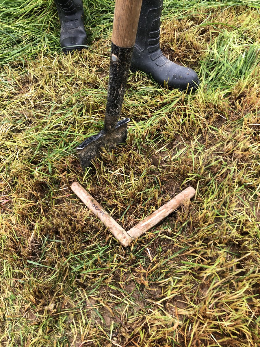 SM_Ashek's tweet photo. Earthworm sampling from biobased fertiliser treatment plots immediately after harvest #MScRes by Mary Kate in collaboration with Nutri2Cycle field trial at #TeagascJC https://t.co/tyMzSlWEgC