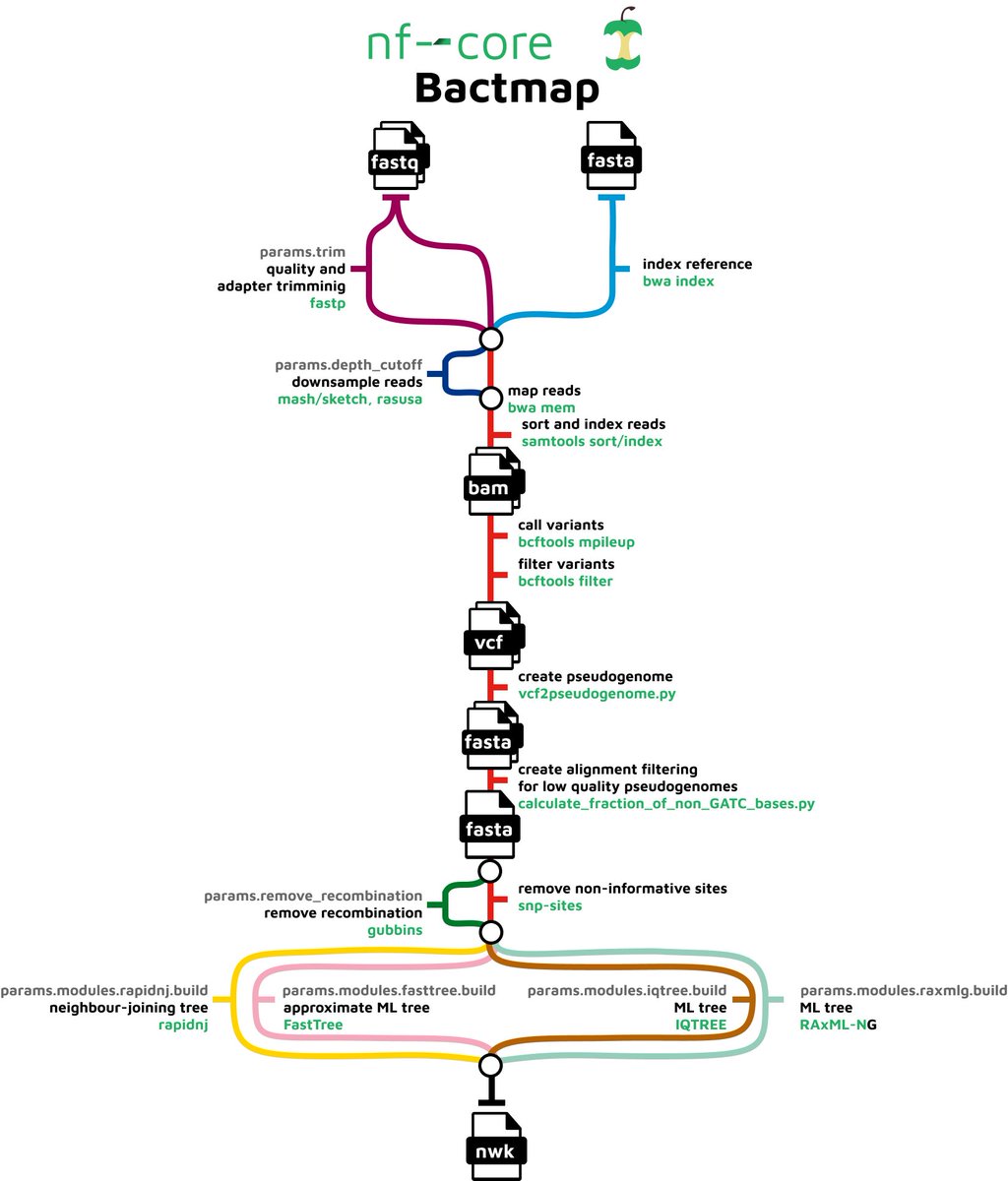 Excited to announce the release of nf-core bactmap, a <a href="/nextflowio/">Nextflow</a> pipeline to produce phylogenies from bacterial genomes.
It's been a huge collaborative effort-thanks to <a href="/Triedzi/">Andries van Tonder</a> <a href="/thanhleviet/">Thanh Le Viet</a> &amp; @alexgilardet (#bactmap team) + support from the <a href="/nf_core/">nf-core</a> team
Please give it a go
1/3