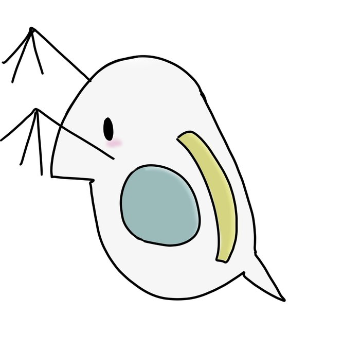ミジンコのtwitterイラスト検索結果 ミジンコのtwitterイラスト検索結果