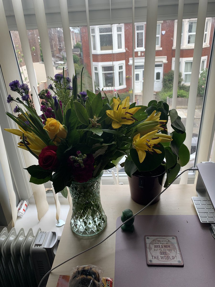 Ooh look at these beautiful flowers that have arrived from @BeDifrent. Pride of place in my office <3