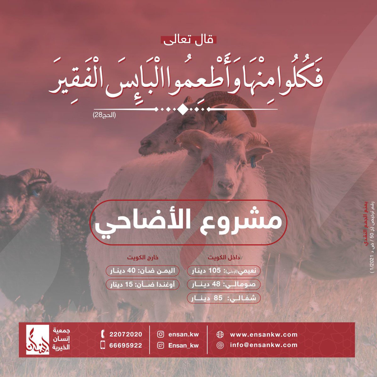 othmanalkamees's tweet photo. مشروع الأضاحي
( داخل و خارج دولة الكويت )

قال تعالى {فَكُلُوا مِنْهَا وَأَطْعِمُوا الْبَائِسَ الْفَقِيرَ ( 28)} الحج

رابط التبرع : 
https://t.co/MS7TqP5vtI

للتواصل
22072020
66695922 https://t.co/R6kzP20hmN