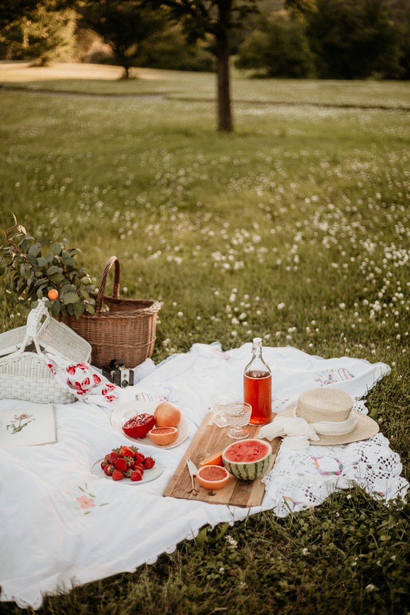 ColleenKubiak's tweet photo. It’s National Picnic Day! Here are some very extra photographs that I enjoyed taking✌🏻 https://t.co/fmH9ZcABXj