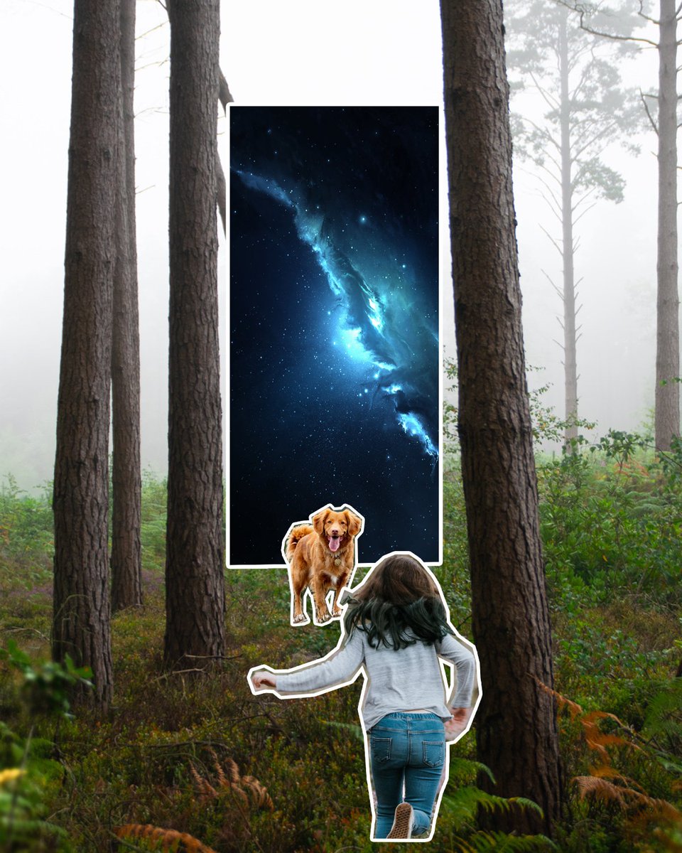 arshad__tp's tweet photo. ' Lost n found ' 
An old work 😄
Swipe for the before image>>

#photoshop #imagemanipulation #imagecomposite #beforeandafter #NFT
#nftart #NFTartist https://t.co/3HtWBCIds3