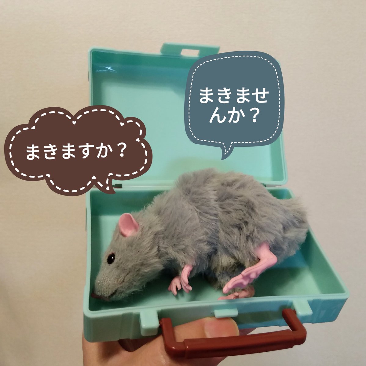 骨猫 On Twitter セリアでねずみーれ ネズミ入れ 探し 買い物カゴ 弁当ゴム 隙間多すぎた トランク風ケース 厚さが足りずフタが浮く