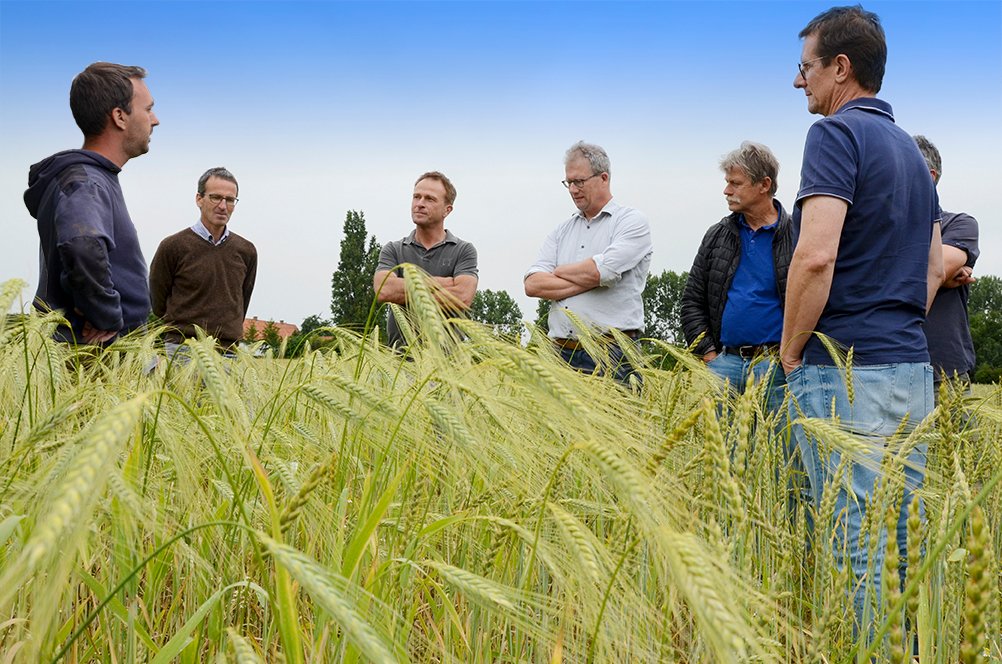 Agrifoodclicks's tweet photo. Bio Bakkerij De Trog lanceert Belgisch Korenbrood. Dit biologische brood gaat van de akker naar de bakker en is afkomstig uit een keten voor biobaktarwe met de lokale landbouwer, molenaar, bakker en retailer. agrifoodclicks #DeTrog #lokaleketen
#biologisch https://t.co/2s1DsHhgPL