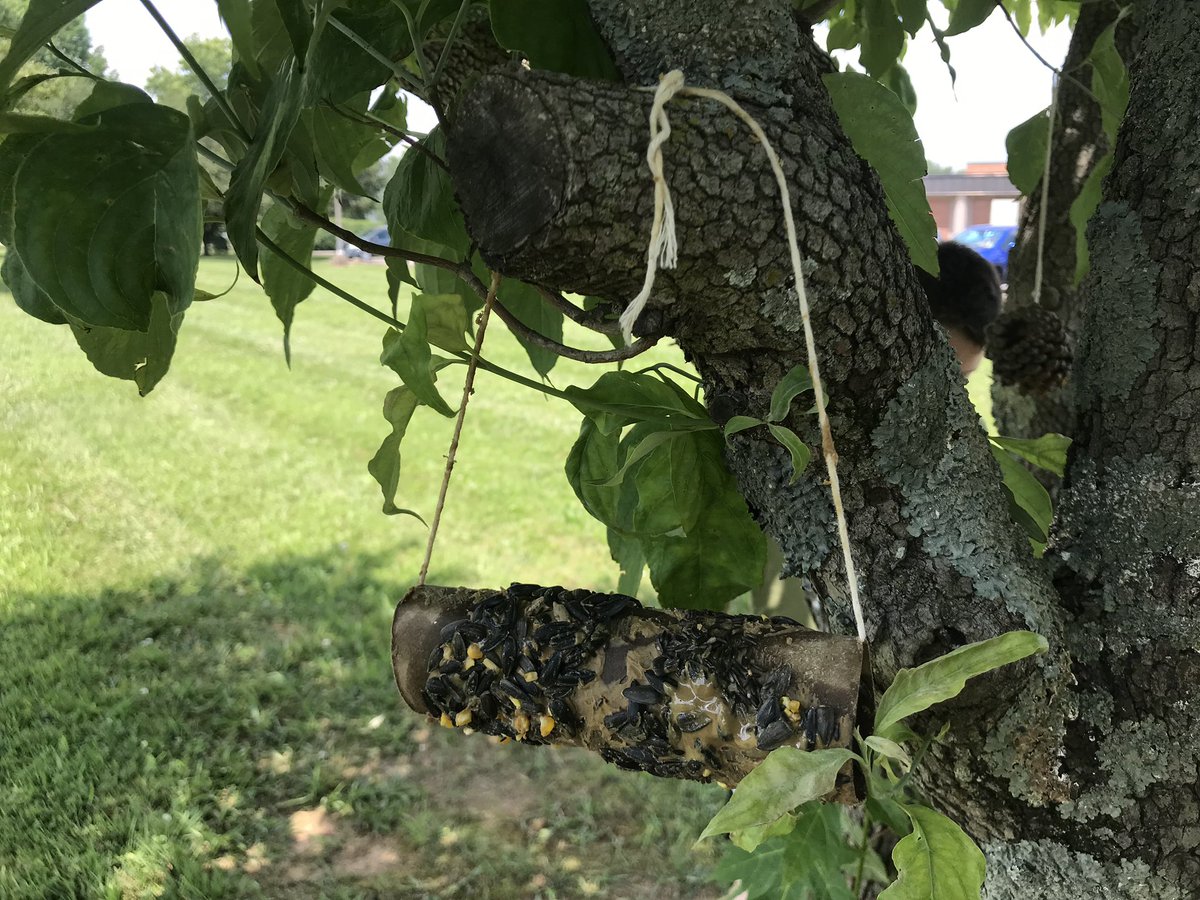 JWW #SummerScholars had so much fun planning and designing their bird feeders during STEM! They observed birds around the school yard and then went to work building their own unique feeders! Wow! Look at the variety. @co_sumner <a href="/skinner_frankie/">Frankie Skinner</a> #SumnerAchieves